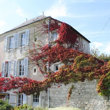 Willa Gite Au Calme Avec Jardin Et Wifi A La Roche-Posay - Fr-1-541-52 Zewnętrze zdjęcie